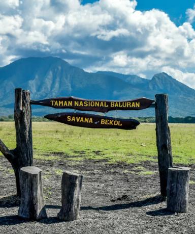 Savana Bekol Baluran