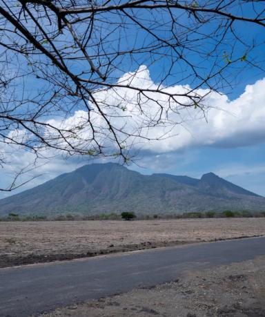 Savana Bekol Baluran