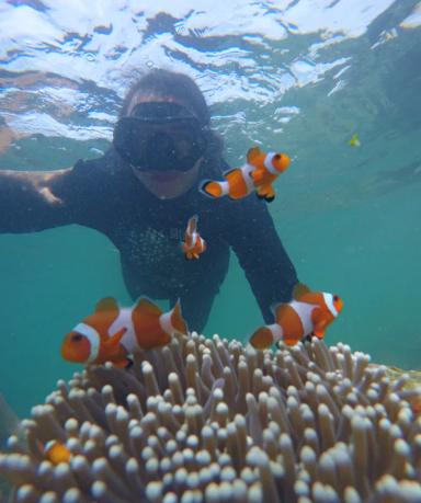 Taman Nemo & Pulau Kelagian