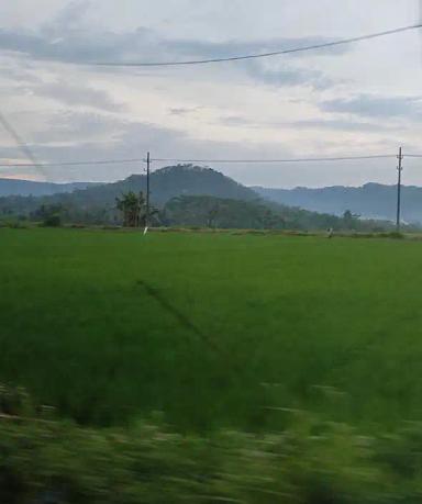 Perjalanan kembali ke Homestay di Malang