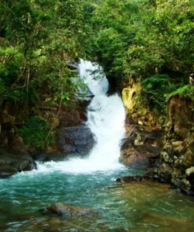 Trekking Menuju Curug Panjang