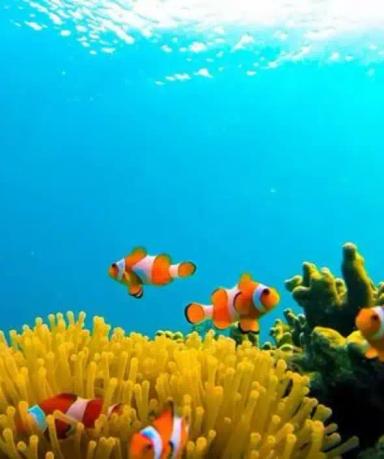 Persiapan Tour di Pulau Karimun