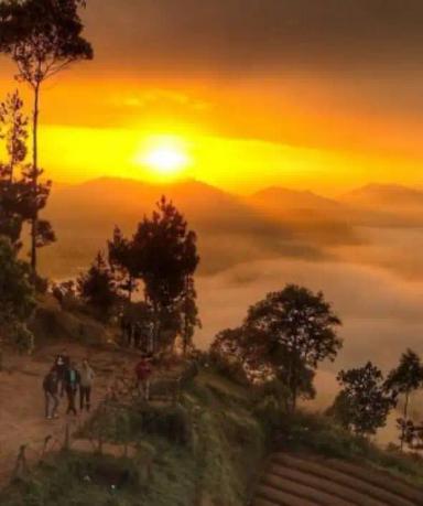 Hunting Sunrise Gn. Putri Lembang