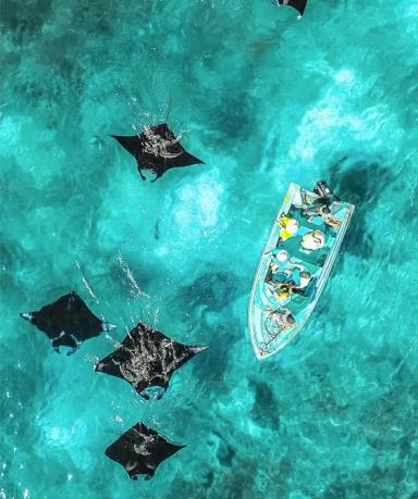 Manta Point (Spot Snorkling)