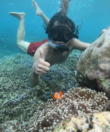 Snorkeling di Pulau Peucang