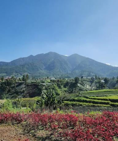 Tepi Gunung Nature Park