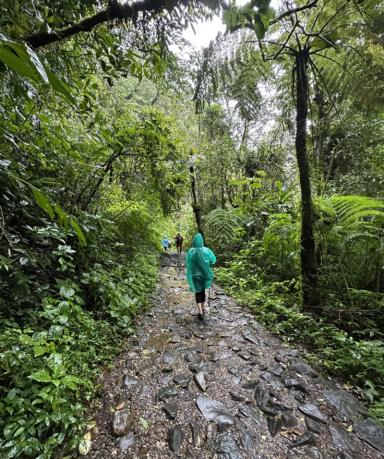 Trekking kembali ke lokasi Basecamp