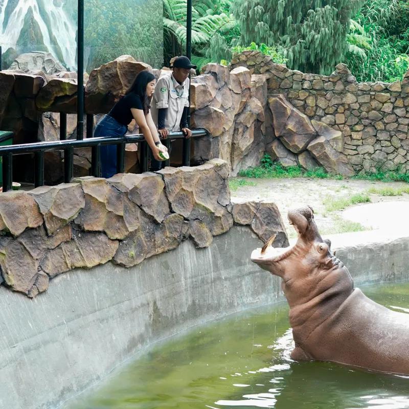lembang-park-zoo