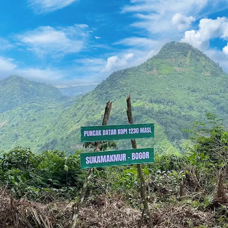 puncak-datar-kopi-onetwothreezeromasl