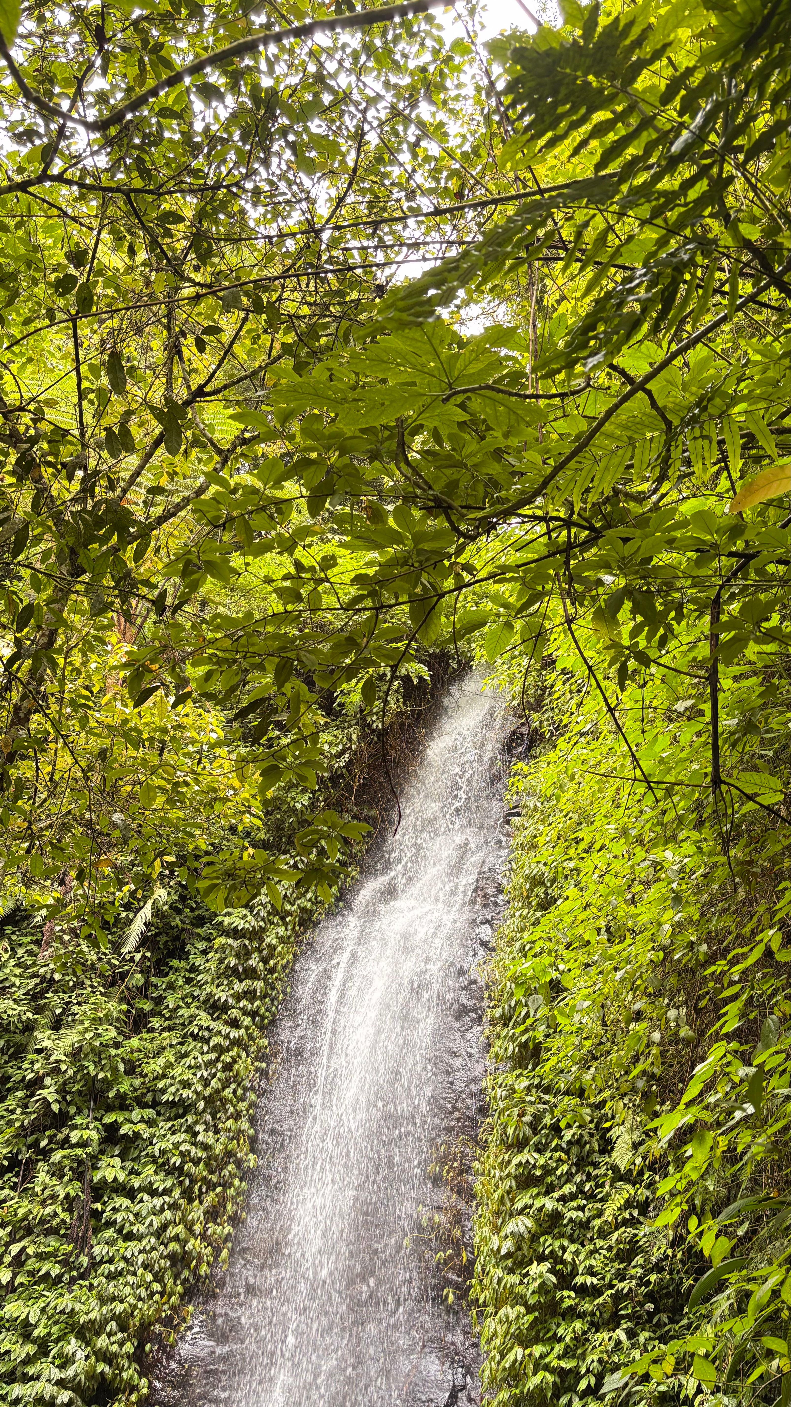 Foto review Fun Trekking Ciwangun Indah Camp 1